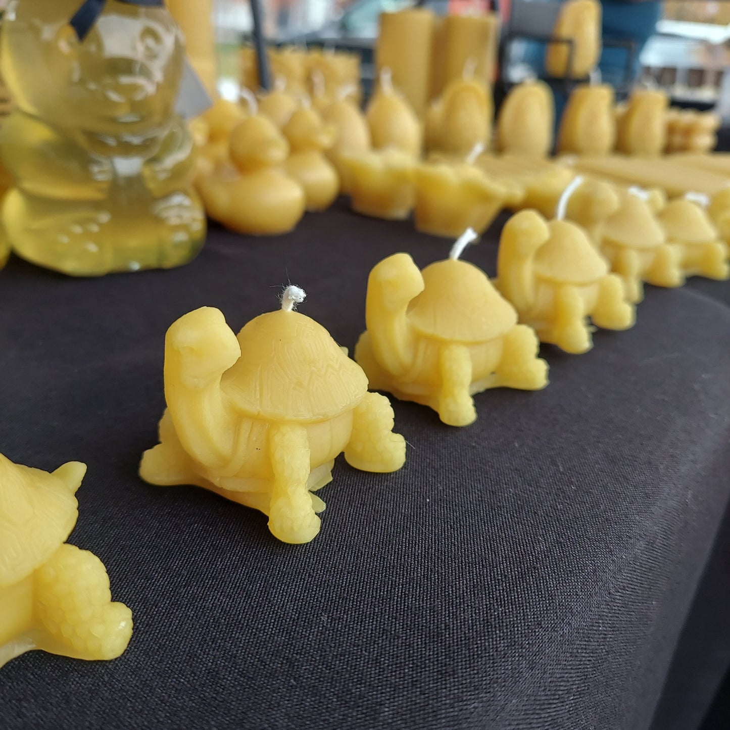 Turtle Candles