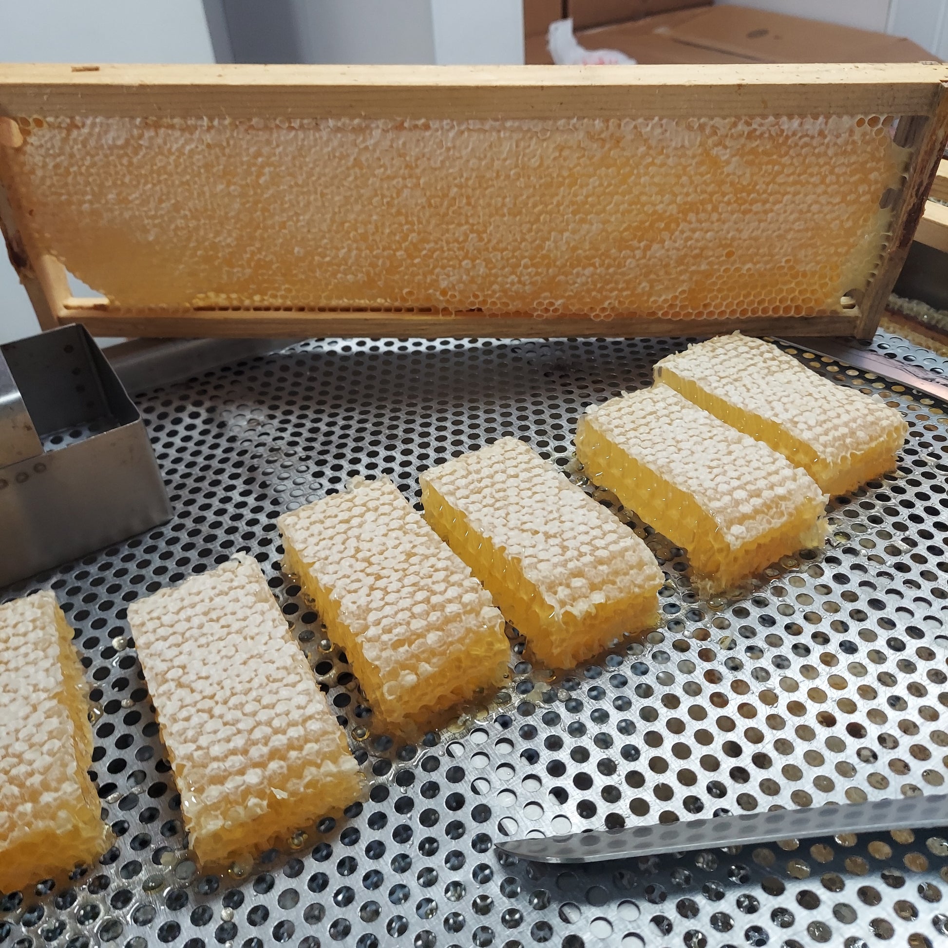 Raw Honeycomb