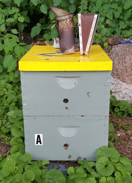 Beehive Rental Minnesota